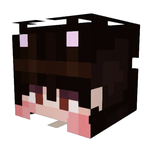 nikiscatboy Minecraft avatar head, 3D render