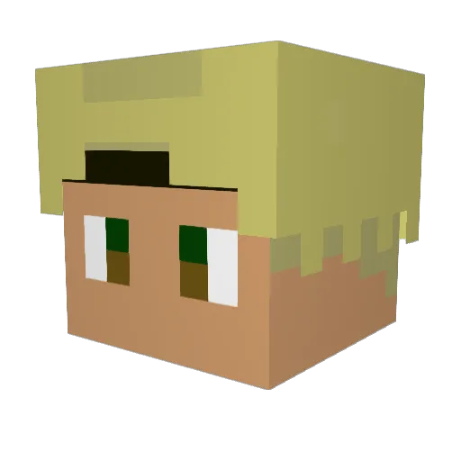 nikita004 Minecraft avatar head, 3D render