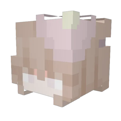 nikizivis Minecraft avatar head, 3D render