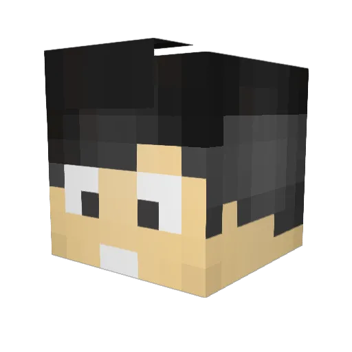 nikjan39 Minecraft avatar head, 3D render