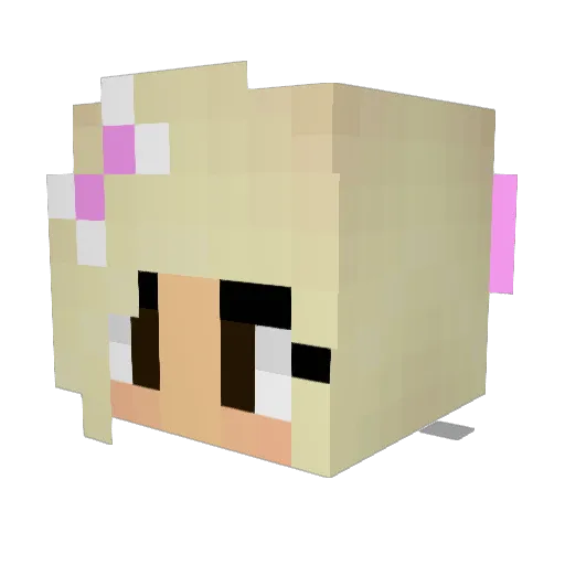 nikkawesome Minecraft avatar head, 3D render