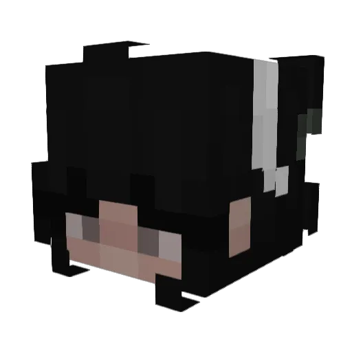 nikkhi Minecraft avatar head, 3D render