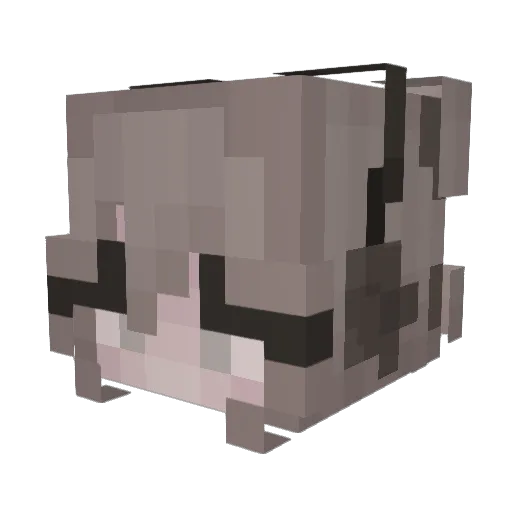 nikki244 Minecraft avatar head, 3D render
