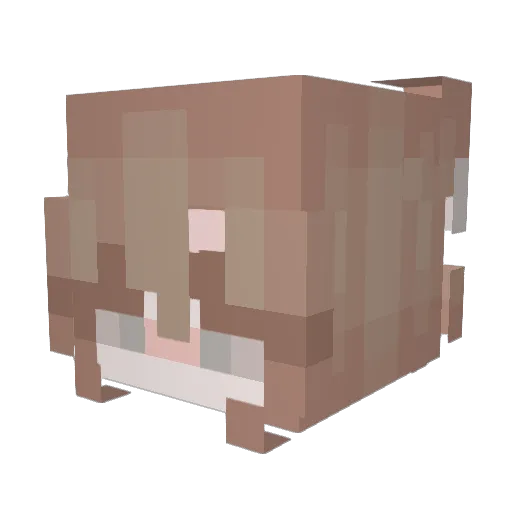 nikkigotgame Minecraft avatar head, 3D render