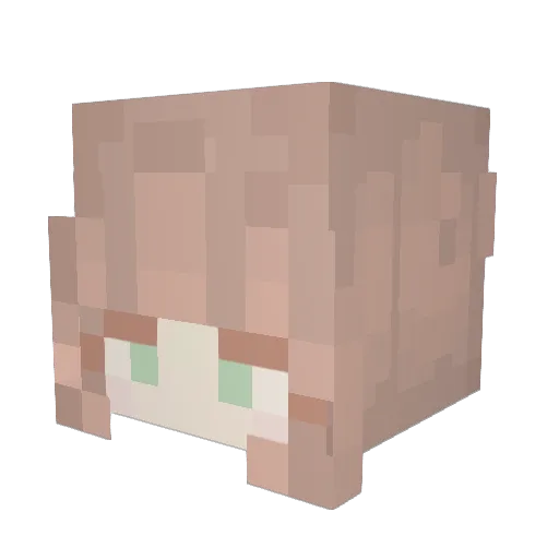 nikkir2004 Minecraft avatar head, 3D render