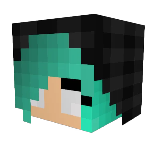 nikkis070 Minecraft avatar head, 3D render