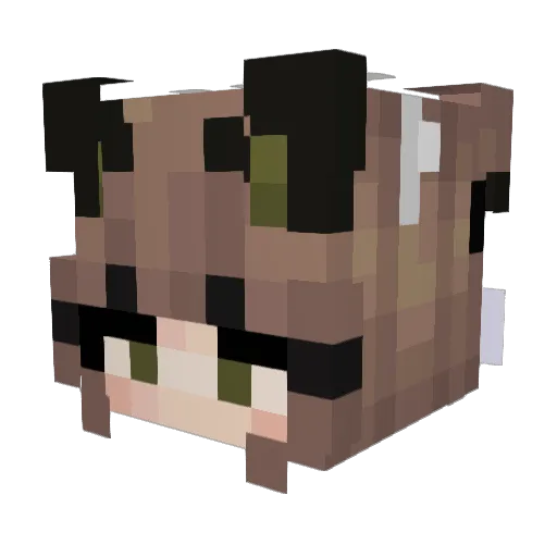 nikkisiks Minecraft avatar head, 3D render