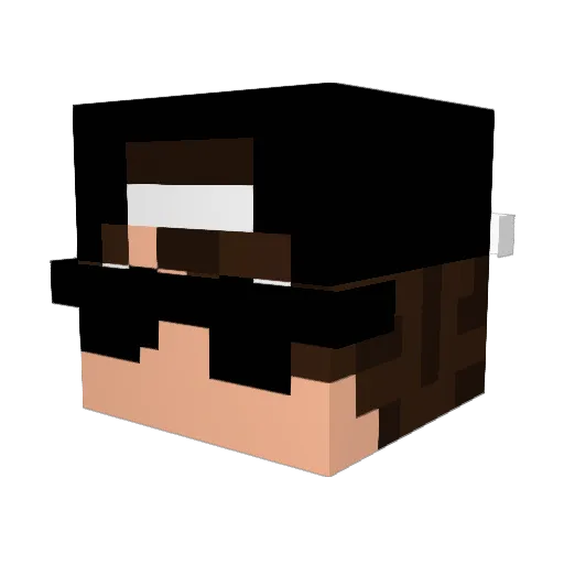 nikkittus Minecraft avatar head, 3D render