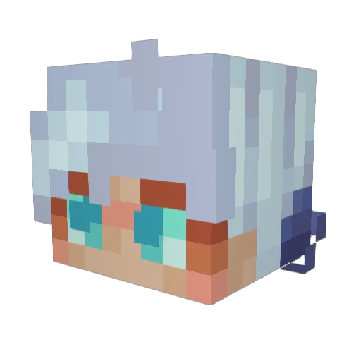 nikkolo2004 Minecraft avatar head, 3D render