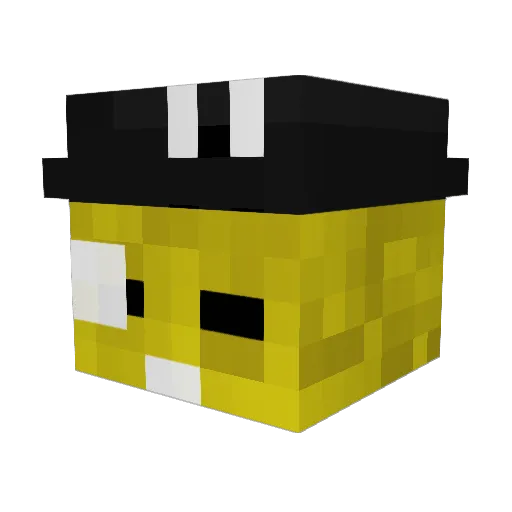 nikkrae Minecraft avatar head, 3D render