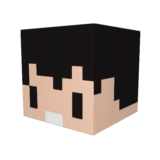 niklas_ Minecraft avatar head, 3D render