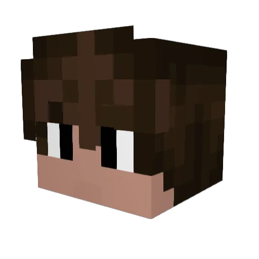 niklasderprofii Minecraft avatar head, 3D render
