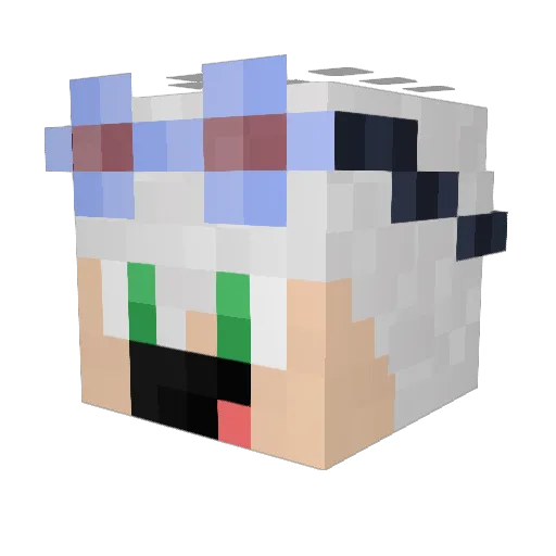 nikodem1000 Minecraft avatar head, 3D render