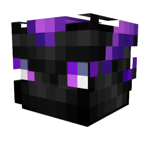 nikofduty Minecraft avatar head, 3D render