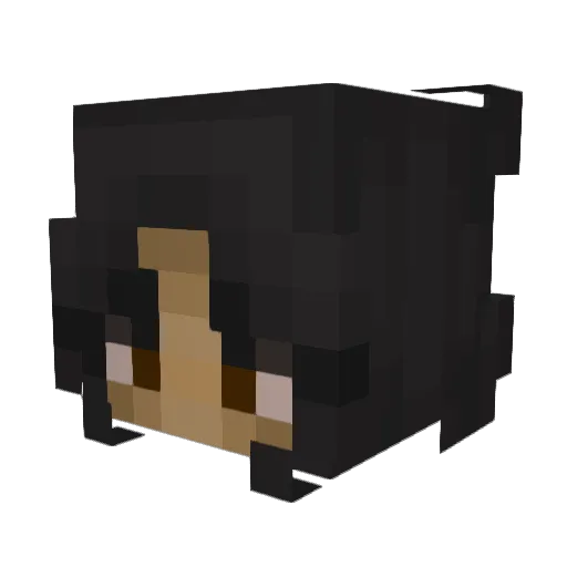 nikolathousand Minecraft avatar head, 3D render
