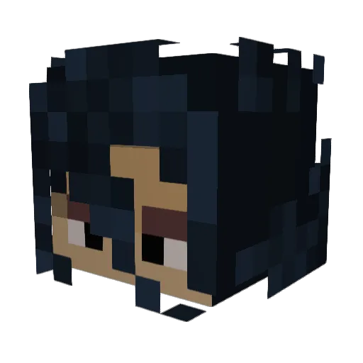 nikolawater Minecraft avatar head, 3D render
