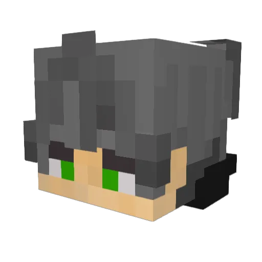 nikoniko0705 Minecraft avatar head, 3D render