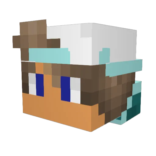 nikothepro44 Minecraft avatar head, 3D render