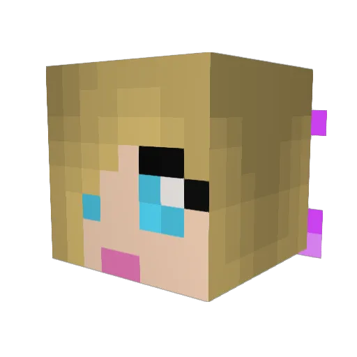 nikqi888 Minecraft avatar head, 3D render