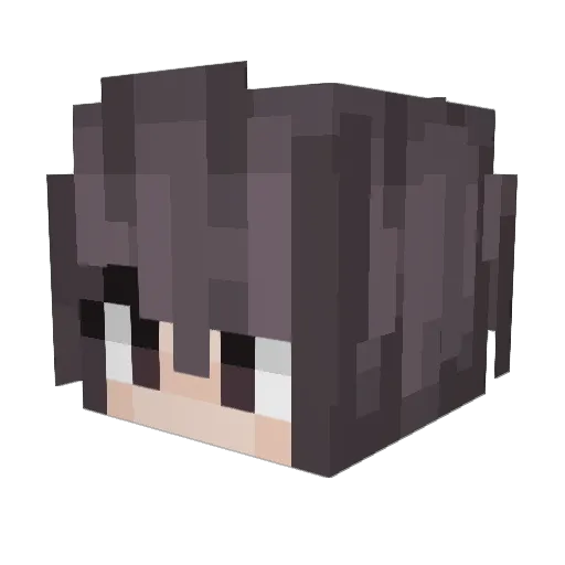 niksa2 Minecraft avatar head, 3D render