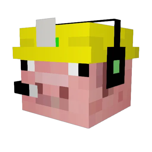 niksi Minecraft avatar head, 3D render