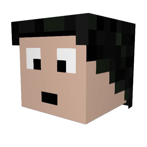 nikuism Minecraft avatar head, 3D render