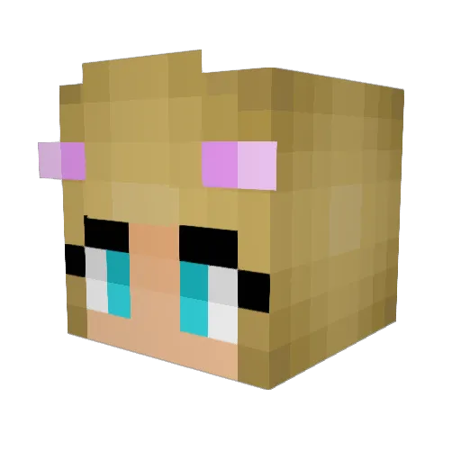 niliko0 Minecraft avatar head, 3D render