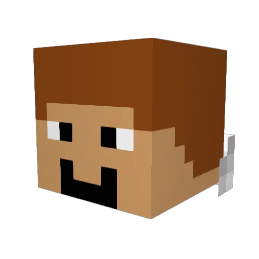 nilipe9 Minecraft avatar head, 3D render