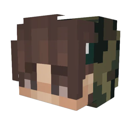 nilogenanton06 Minecraft avatar head, 3D render