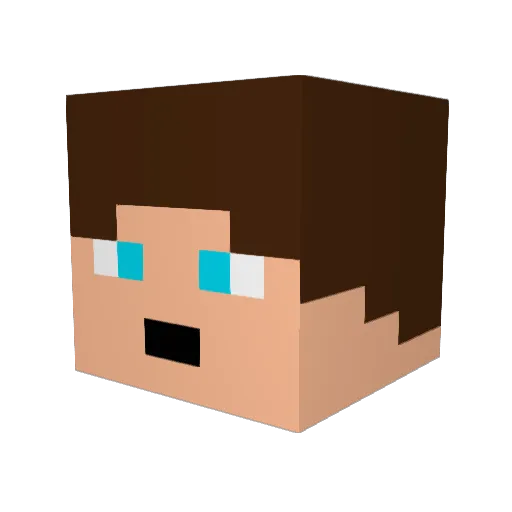 nils06052 Minecraft avatar head, 3D render