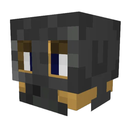 nils101 Minecraft avatar head, 3D render