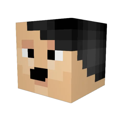 nilsfriden69 Minecraft avatar head, 3D render