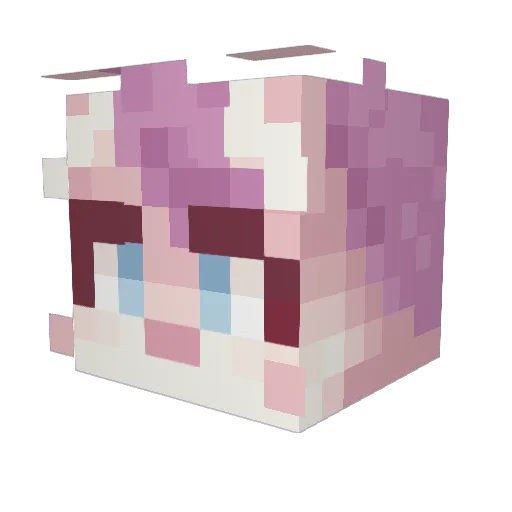 nilsigirl Minecraft avatar head, 3D render