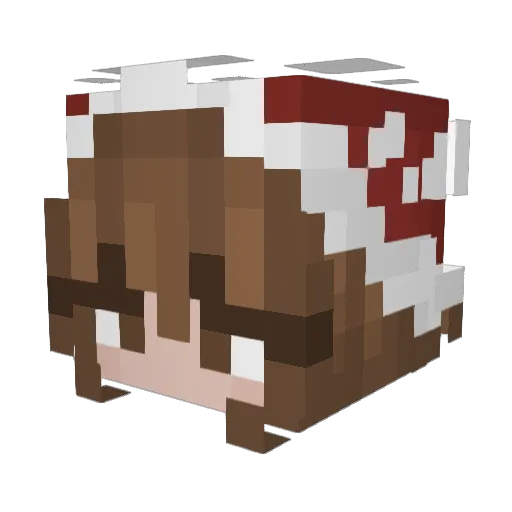 niltiac_ Minecraft avatar head, 3D render