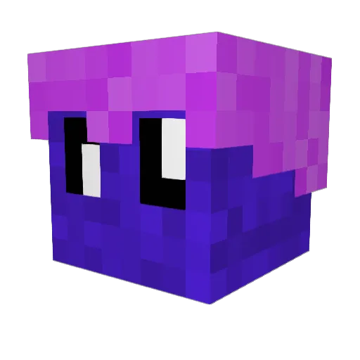 nimbus_ev Minecraft avatar head, 3D render