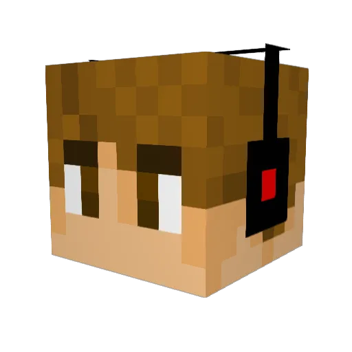 nimmidge Minecraft avatar head, 3D render