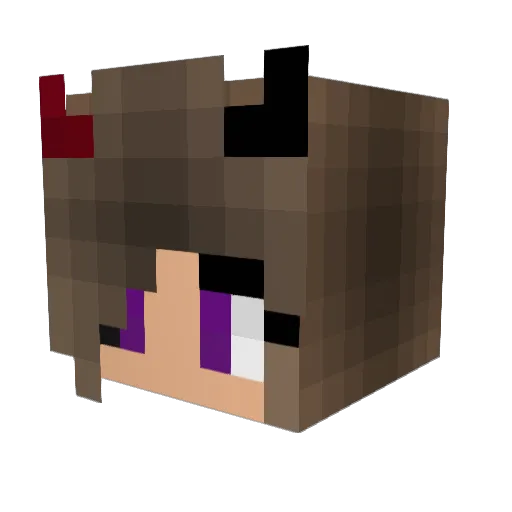 nimsaj2001 Minecraft avatar head, 3D render