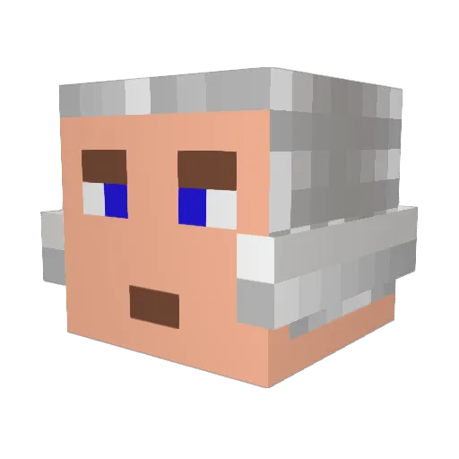 nin10dojoe Minecraft avatar head, 3D render
