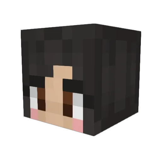 ninachuuw Minecraft avatar head, 3D render