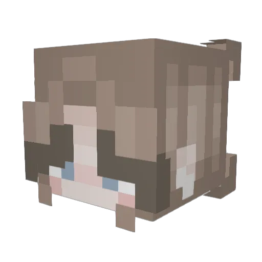 ninacolada29 Minecraft avatar head, 3D render