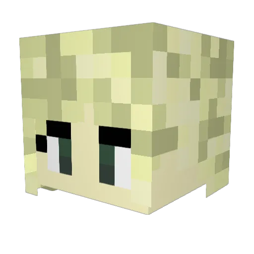 ninadifrax Minecraft avatar head, 3D render