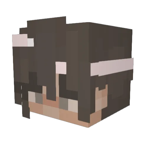 ninadx Minecraft avatar head, 3D render