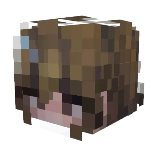 ninalinus Minecraft avatar head, 3D render