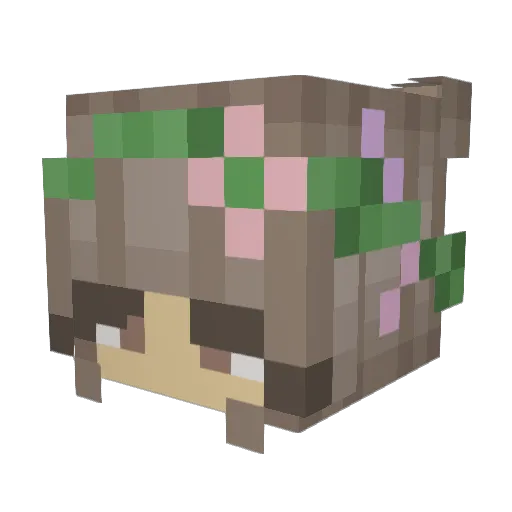 ninanoble Minecraft avatar head, 3D render