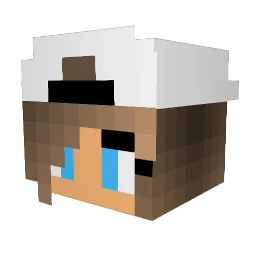 ninastar Minecraft avatar head, 3D render
