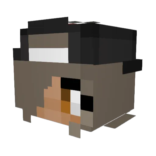 ninavzon Minecraft avatar head, 3D render