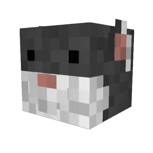 ninchilla Minecraft avatar head, 3D render