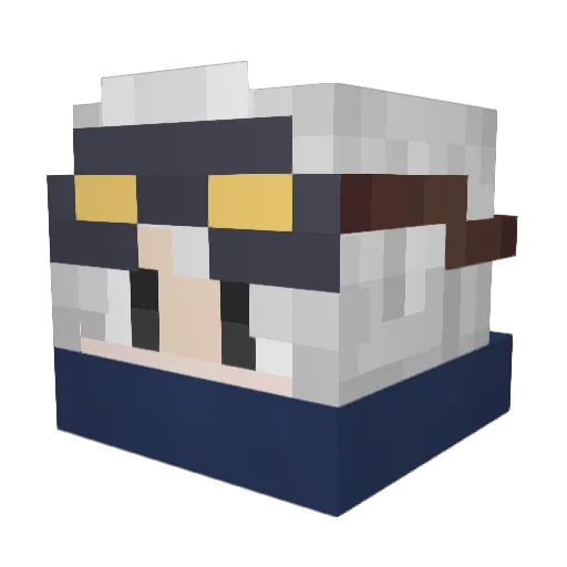 nindzi14 Minecraft avatar head, 3D render