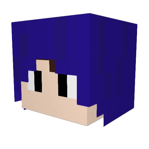 ninek9 Minecraft avatar head, 3D render