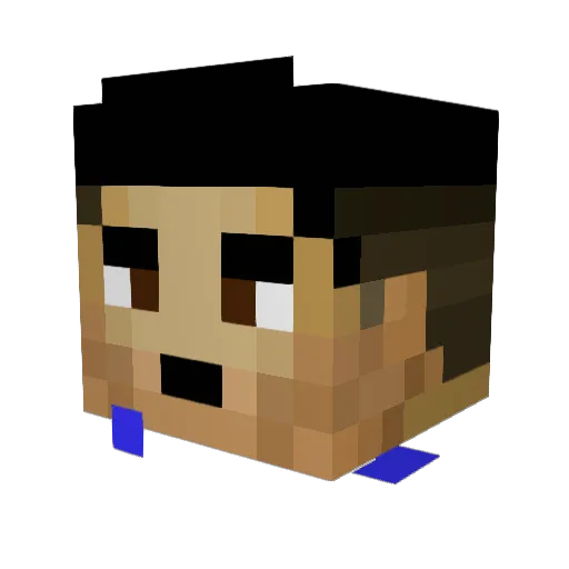 ninenet Minecraft avatar head, 3D render